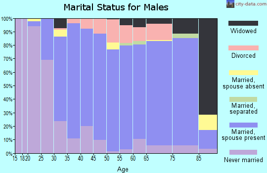 Zip code 06074 marital status for males