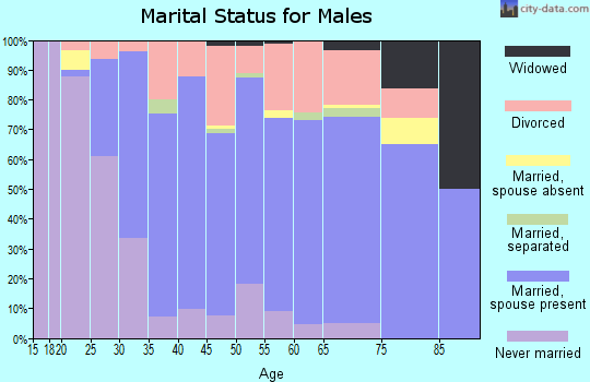 Zip code 06076 marital status for males
