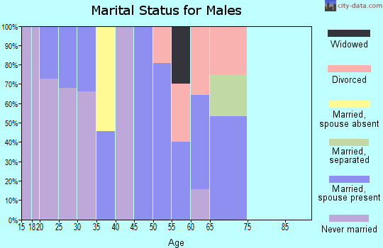 Zip code 06081 marital status for males