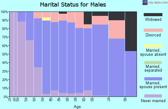 Zip code 06084 marital status for males
