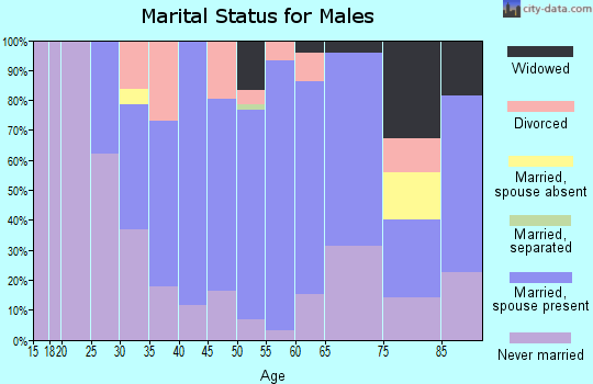 Zip code 06085 marital status for males