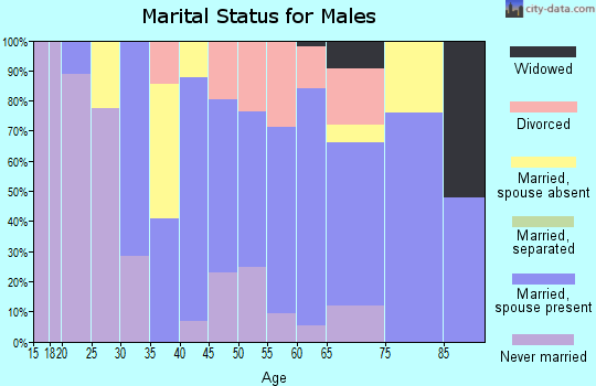 Zip code 06088 marital status for males