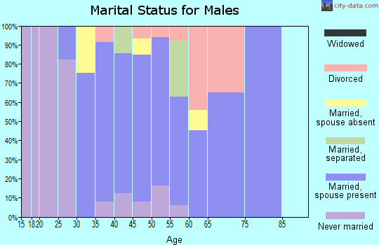 Zip code 06089 marital status for males