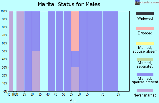 Zip code 06091 marital status for males