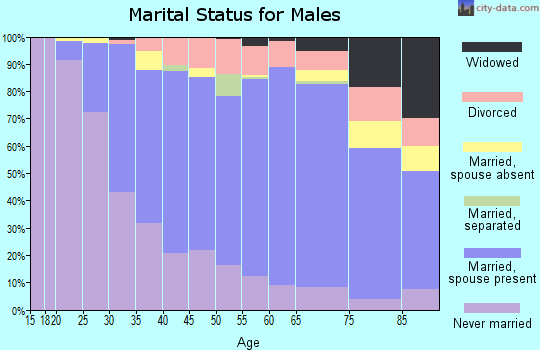 Zip code 06095 marital status for males