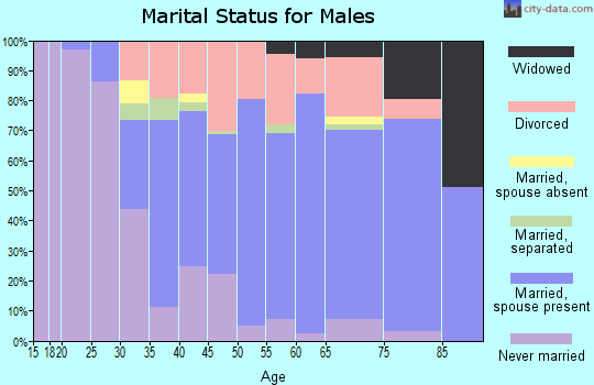 Zip code 06096 marital status for males