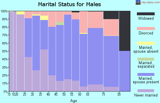 Zip code 06098 marital status for males