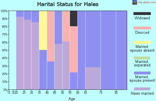 Zip code 06103 marital status for males