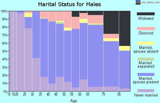 Zip code 06109 marital status for males