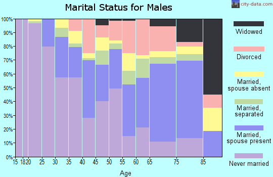 Zip code 06112 marital status for males