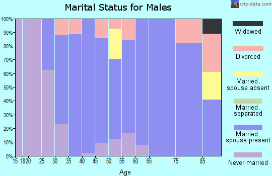 Zip code 06231 marital status for males