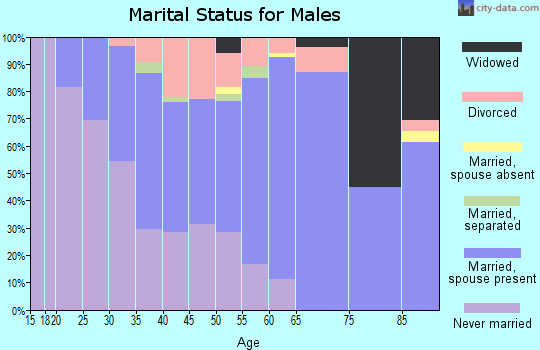 Zip code 06234 marital status for males