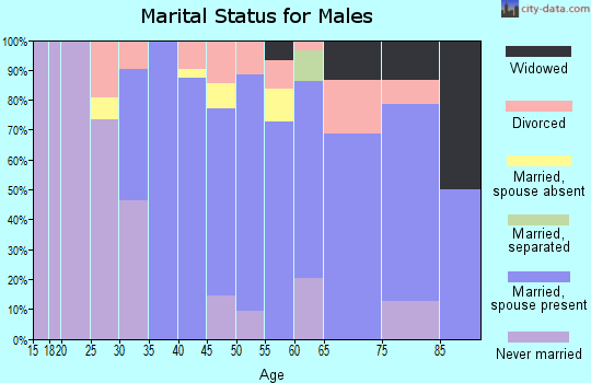 Zip code 06237 marital status for males