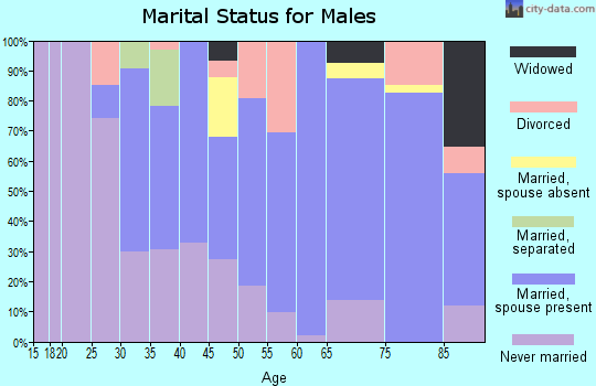 Zip code 06241 marital status for males