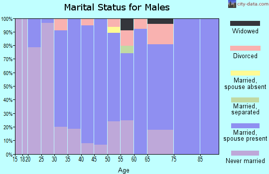Zip code 06242 marital status for males