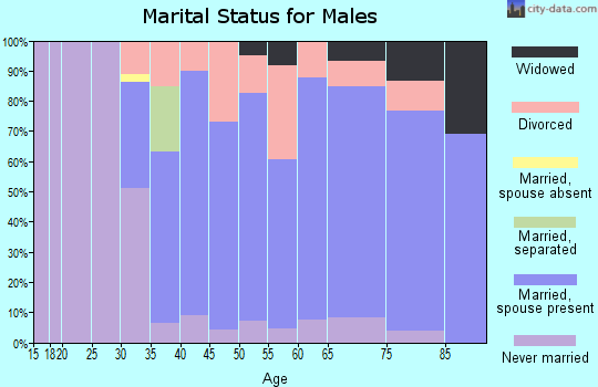 Zip code 06247 marital status for males