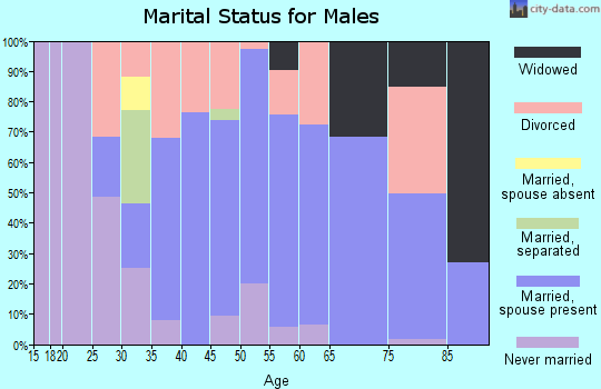 Zip code 06255 marital status for males
