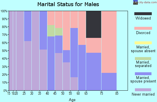 Zip code 06256 marital status for males