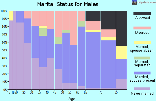 Zip code 06260 marital status for males