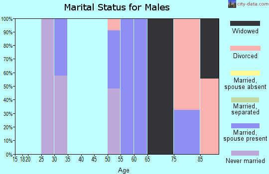 Zip code 06262 marital status for males