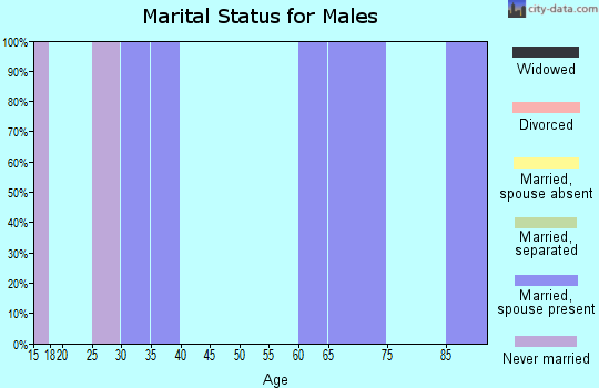 Zip code 06264 marital status for males