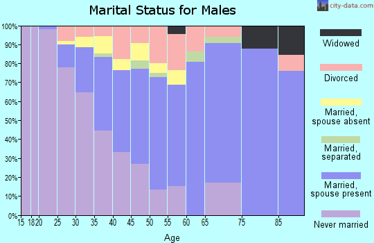 Zip code 06268 marital status for males
