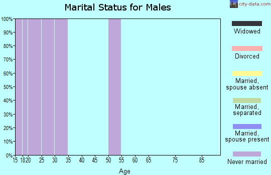 Zip code 06269 marital status for males