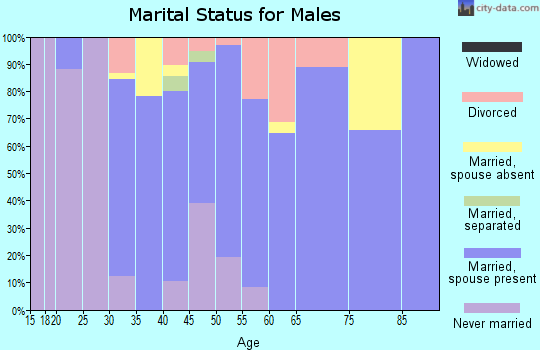 Zip code 06277 marital status for males