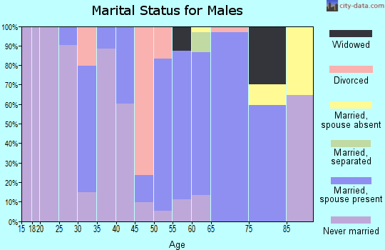 Zip code 06280 marital status for males