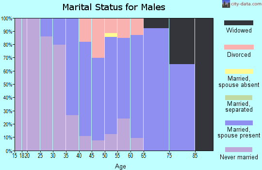 Zip code 06281 marital status for males