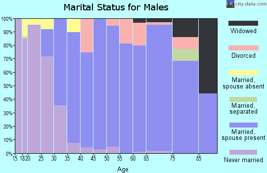 Zip code 06333 marital status for males