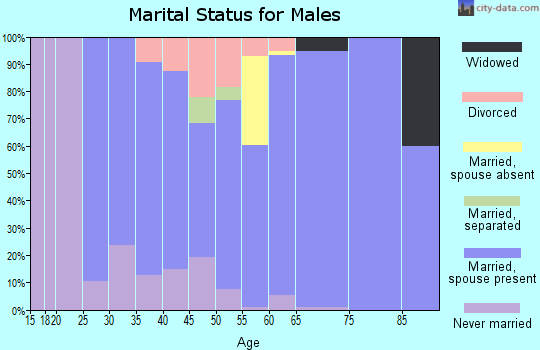 Zip code 06334 marital status for males