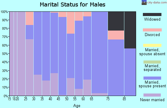 Zip code 06335 marital status for males