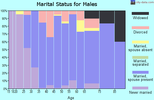 Zip code 06339 marital status for males