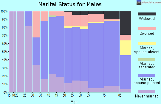Zip code 06355 marital status for males