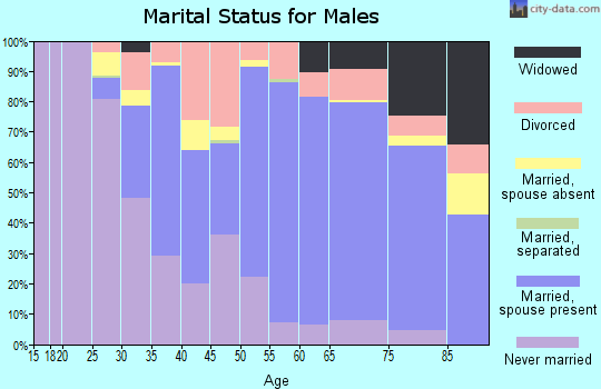 Zip code 06357 marital status for males