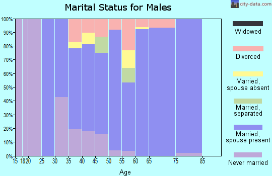 Zip code 06359 marital status for males