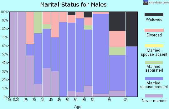 Zip code 06365 marital status for males