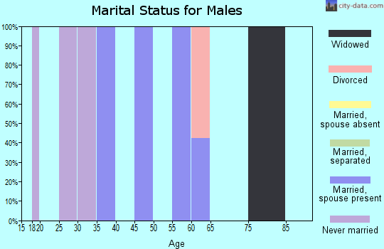 Zip code 06373 marital status for males