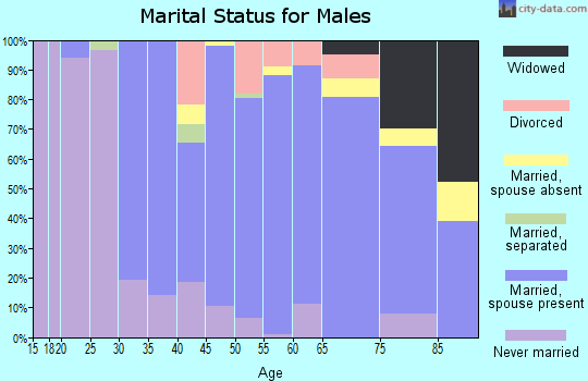 Zip code 06374 marital status for males
