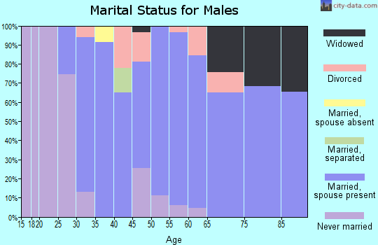 Zip code 06375 marital status for males