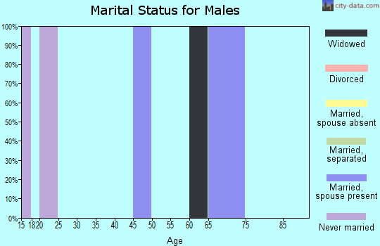 Zip code 06376 marital status for males