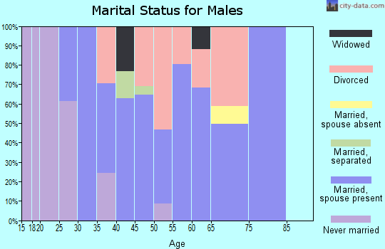 Zip code 06377 marital status for males