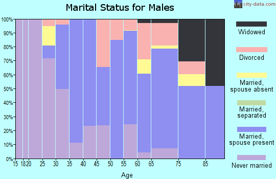 Zip code 06378 marital status for males