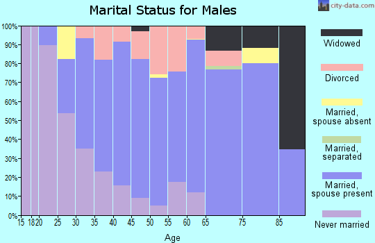 Zip code 06379 marital status for males