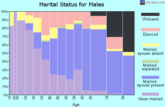 Zip code 06382 marital status for males