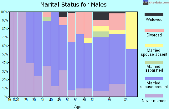 Zip code 06384 marital status for males