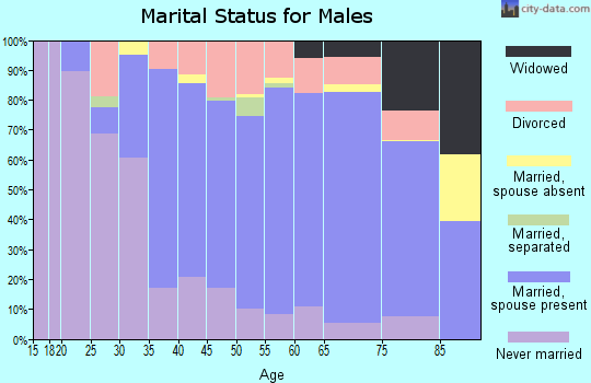 Zip code 06385 marital status for males