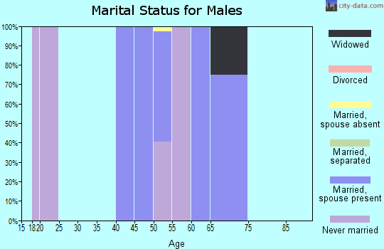 Zip code 06390 marital status for males