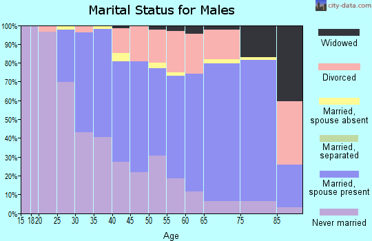 Zip code 06401 marital status for males